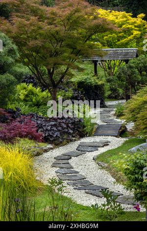 Japanischer Garten in Kingston Lacy, einem Landhaus und Anwesen in Dorset, England. Stockfoto