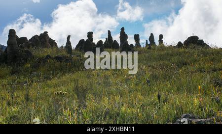 Landschaft auf Amuri Tepui mit unberührter endemischer Vegetation und schwarz erodierten Sandsteinsäulen, Venezuela Stockfoto