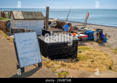 Fisherman am Budleigh Salterton Beach, Devon, Großbritannien Stockfoto