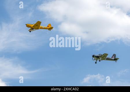 1949 DHC Chipmunk T.22 & 1950 Percival P56 Provost T.1, auf der Shuttleworth Military Air Show 2024. Stockfoto