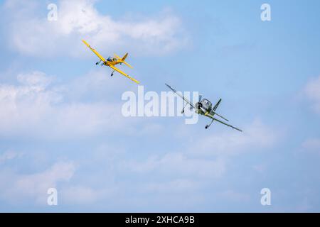 1949 DHC Chipmunk T.22 & 1950 Percival P56 Provost T.1, auf der Shuttleworth Military Air Show 2024. Stockfoto