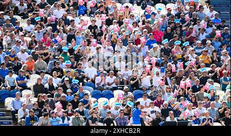 Hove UK 13. Juli 2024 - Fans genießen den Sonnenschein und jede Menge Sussex Sharks beim Cricket-Spiel Vitality T20 Blast zwischen Sussex Sharks und Essex auf dem 1. Central County Ground in Hove: Credit Simon Dack /TPI/ Alamy Live News Stockfoto