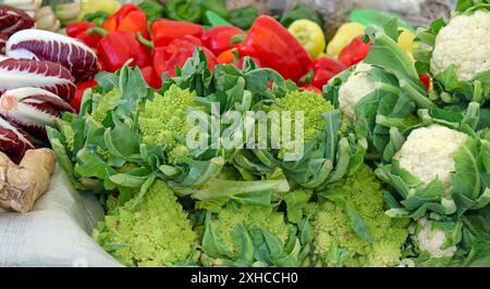 Auswahl an frischem Bio-Gemüse am Marktstand Stockfoto