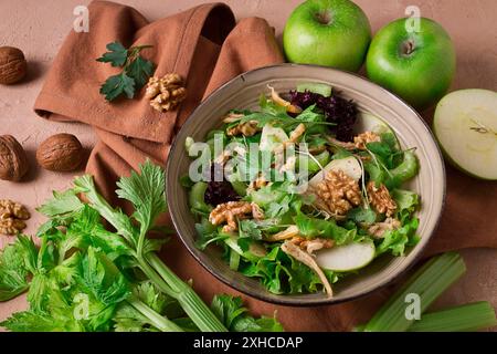 Frischer Waldorfsalat, Selleriehalm mit Huhn, Apfel und Walnuss, Trauben, Kräuter, hausgemacht, keine Personen Stockfoto