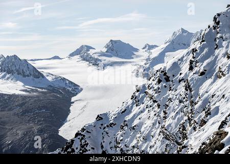 Berggipfel und Gletscher im Morgenlicht, Gurgler Ferner mit Gipfel Falschungsspitze, Naturpark Ötztal, Ötztaler Alpen, Tirol, Österreich Stockfoto