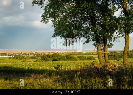 Dorf Rust am Neusiedlersee im burgenland Stockfoto