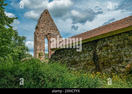 Ruinen der historischen Abtei Lindow in Brandenburg Stockfoto