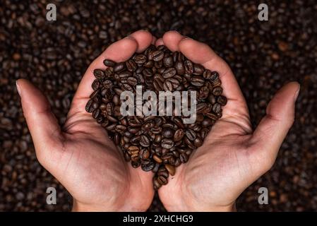 Frisch geröstete Kaffeebohnen in den Händen von oben. Hintergrund mit Kaffeetrinken Stockfoto