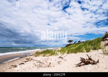 Der Weststrand am Fischland-Darss Stockfoto