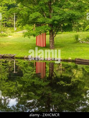 Eine amerikanische Flagge hängt an einem Baum, um den 4. Juli zu feiern Stockfoto