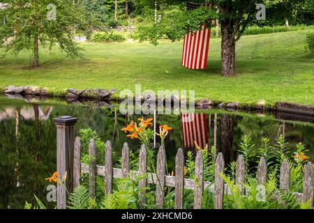 Eine amerikanische Flagge hängt an einem Baum, um den 4. Juli zu feiern Stockfoto