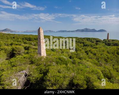 Führende Punkte, es Comu, Gebiet Natural d'Especial Interes, im Naturpark von s'Albufera, Muro, bahia de Alcudia, Mallorca Stockfoto