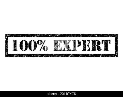 Experte 100% Stempelsymbol, Etikett Aufkleber Zeichen Taste, Text Banner Vektor Illustration. Stock Vektor