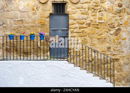 BURGTREPPE Stockfoto