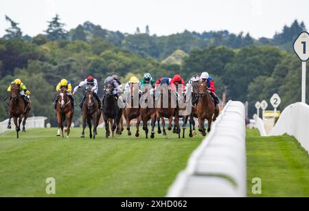 Ascot, Berkshire, Vereinigtes Königreich, Samstag, 13. Juli 2024; Surveyor und Jockey Callum Shepherd gewinnen die Village Hotels Fillies Handicap Stakes für Trainer James Fanshawe und Eigentümer Cheveley Park Stud Credit JTW equine Images / Alamy Live News Stockfoto