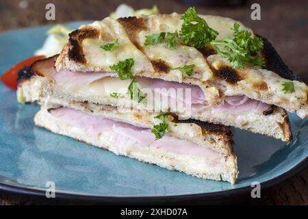 Französischer Krokodil auf blauem Teller Stockfoto