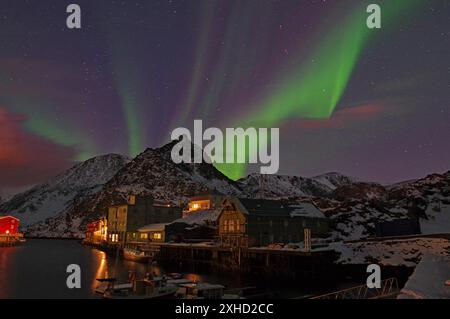 Nachtszene mit Nordlichtern am Himmel, schneebedeckte Berge und Häuser am Wasser, Winter, Nyksund, Langoya, Vesteralen, Nordland, Norwegen Stockfoto