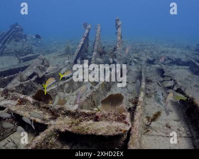 Wrack der Benwood. Tauchplatz John Pennekamp Coral Reef State Park, Key Largo, Florida Keys, Florida, USA Stockfoto