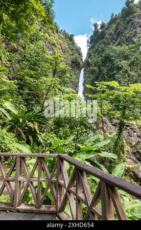 Wasserfall in Dominica, Karibik. Trafalgar Falls. Stockfoto