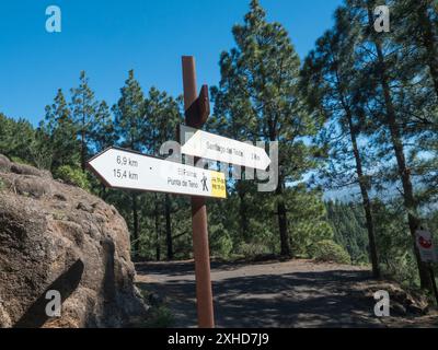 Touristische Wegweiser am Wanderweg durch den üppig grünen kanarischen Kiefernwald rund um den Gipfel Cruz de Gala in Teno, Teneriffa, Kanarischen Inseln Stockfoto