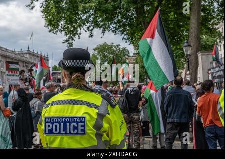 London, Großbritannien. Juli 2024. Demonstranten, die palästinensische Fahnen schwenken. Pro-palästinensische Aktivisten fordern einen dauerhaften Waffenstillstand in Gaza. Quelle: David Tramontan/Alamy Live News Stockfoto