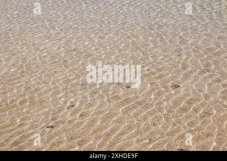 Strand mit weißem Sand und flachem Wasser. Detail des Sandes und des Atlantischen Meeres. Caleton Blanco, Lanzarote, Kanarische Inseln, Spanien. Stockfoto