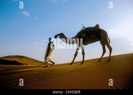 Marokkanischen Mann an der Spitze ein Kamel in der Wüste Sahara Stockfoto