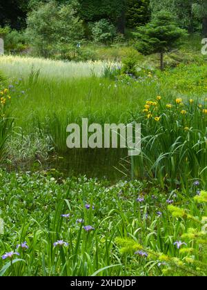 Malerischer Seeblick in Balmoral Anwesen, Schottland Stockfoto