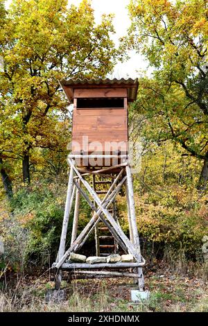 Jagd Turm in den wilden Wald. Holz- Hunter Ausblenden ansehen Post Tower. Hunter's Beobachtungspunkt in Wald in Europa. Stockfoto