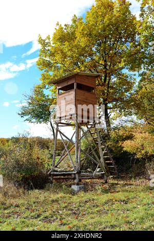 Jagd Turm in den wilden Wald. Holz- Hunter Ausblenden ansehen Post Tower. Hunter's Beobachtungspunkt in Wald in Europa. Stockfoto