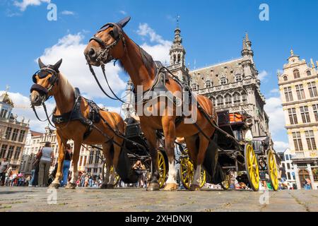 Brüssel, Belgien - 20. August 2022: Kutsche, Pferde und Touristen auf dem Grand-Place von Brüssel. Fotografie in Belgien Stockfoto