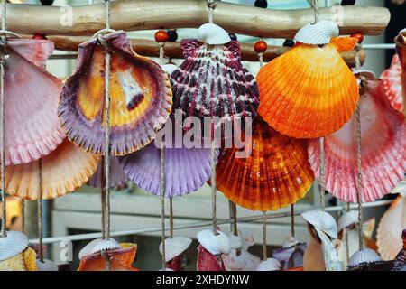 Bunte trockene Muscheln hängen am Holzstock Stockfoto