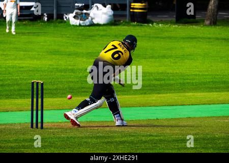 East Kilbride Cricket Club Action Highlights Stockfoto