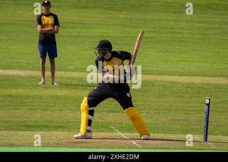 East Kilbride Cricket Club Action Highlights Stockfoto