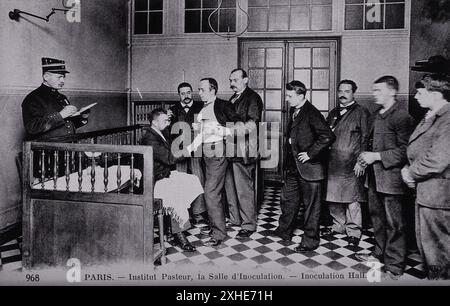 Impfraum am Institut Pasteur in Paris, Frankreich, um 1910 Stockfoto