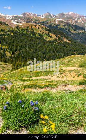 Panoramablick vom Loveland Pass, Colorado Stockfoto