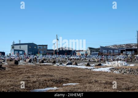 Weiße Kreuze auf dem Iqaluit Municipal Cemetery in Apex, Nunavut, Kanada Stockfoto