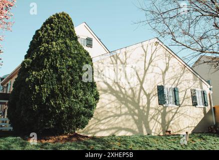 Ein Wohnhaus in Pennsylvania mit Schatten und Zypressen am Mittag Stockfoto