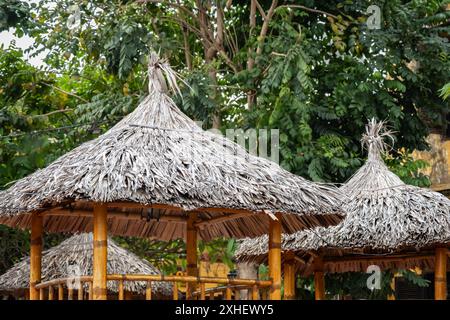 Das Dach besteht aus Schilf auf einem hölzernen Pavillon. Ein hölzernes Ferienhaus. Ein sonniger Sommertag. Strandpavillon aus Bambus und getrockneten Blättern. Grasblatt Stockfoto