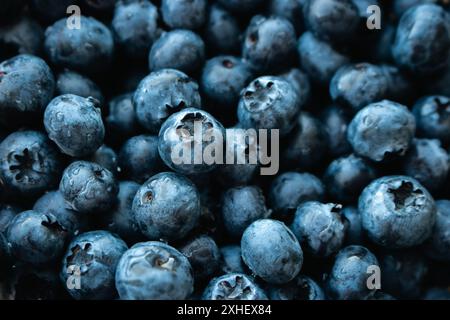 Frische Heidelbeeren in Wassertropfen, Nahaufnahme von oben. Schwarze und blaue saftige Beeren. Natürlicher blauer Hintergrund. Sommervitaminernte. Natürliche Ernährung. Stockfoto