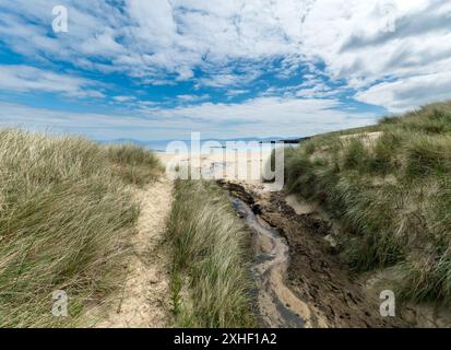Pfad zwischen Dünen und Marramgras zum abgelegenen und wunderschönen Balnahard Beach auf der Isle of Colonsay, Schottland, Großbritannien Stockfoto