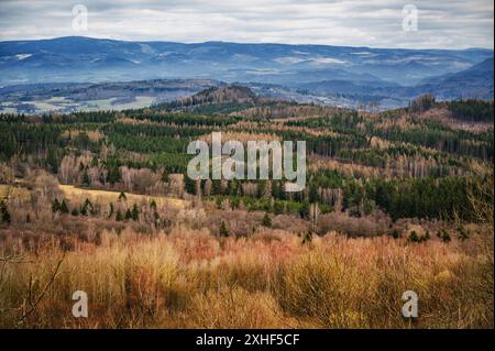 Blick auf den tiefen und breiten Wald und den blauen Erzberg vom Andelska hora in der Nähe von Karlsbad, Tschechische republik. Stockfoto