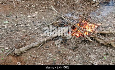 Bild eines Lagerfeuers, Förderung des Konzepts, Wälder nicht zu verbrennen, und Förderung einer nachhaltigen Waldpflege. Stockfoto