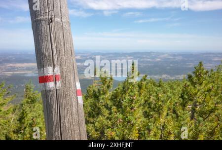 Roter Wegmarkierung auf einem Holzstamm gemalt, Karkonosze (Riesengebirge), selektiver Fokus, Polen. Stockfoto