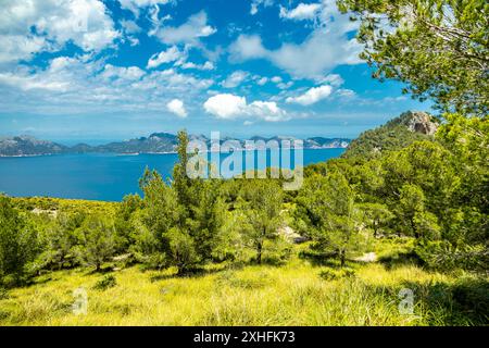 Wanderung zum Berg Talaia d'Alcúdia und Aussichtspunkt mit einem fantastischen Blick auf die Bucht von Alcúdia auf der Baleareninsel Mallorca - Spanien Stockfoto