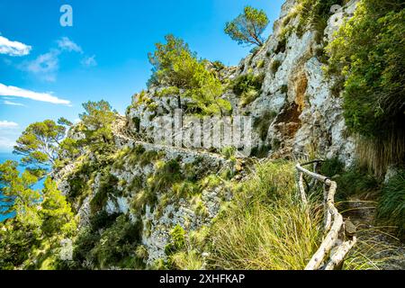 Wanderung zum Berg Talaia d'Alcúdia und Aussichtspunkt mit einem fantastischen Blick auf die Bucht von Alcúdia auf der Baleareninsel Mallorca - Spanien Stockfoto