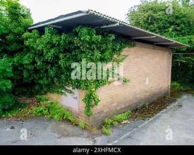 Verlassenes Backsteingebäude mit üppigem grünem Efeu, umgeben von Natur, die den Raum zurückerobert. Stockfoto