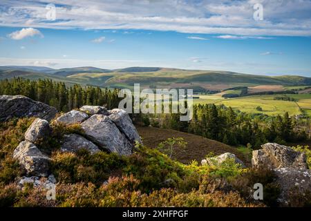 Blick auf die Cheviot Hills von Harbottle Crack, Northumberland National Park Stockfoto