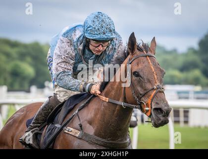 Sean Bowen - National Hunt Jockey Stockfoto