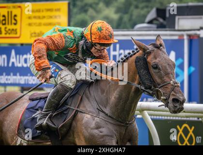 Sean Bowen - National Hunt Jockey Stockfoto